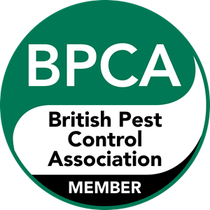 British pest control association manama bahrain verminator pest control
