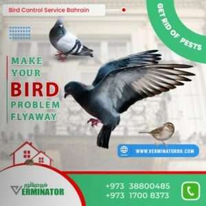 bird control in Bahrain