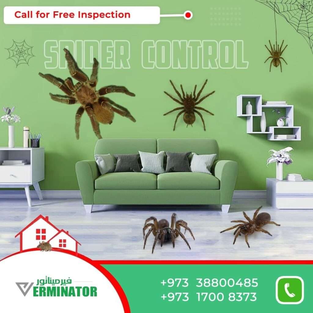 spider control in Bahrain