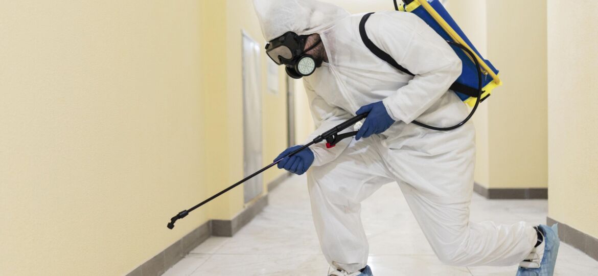 Pest Control Services