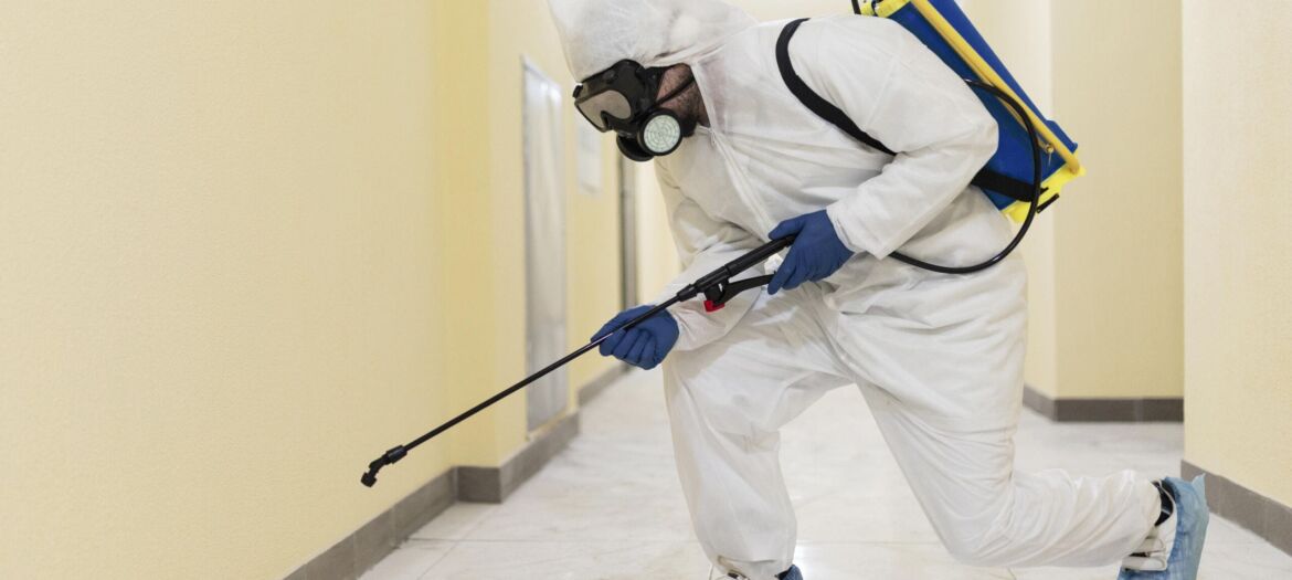 Pest Control Services