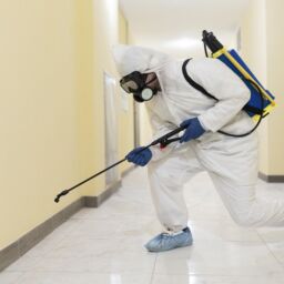 Pest Control Services